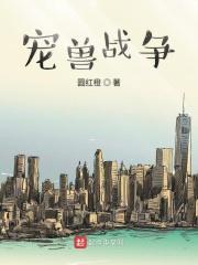 宠兽争斗怎么玩